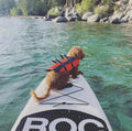 10' Explorer - Black - ROC Paddleboards
