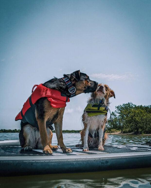 10' Scout - Charcoal - ROC Paddleboards